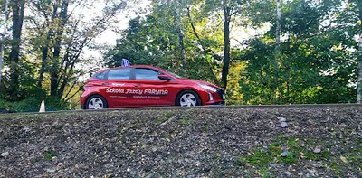 "Faryna" - Wojciech Borczyk